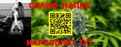 гидра Ачхой-Мартан