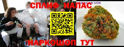 гидра Ачхой-Мартан