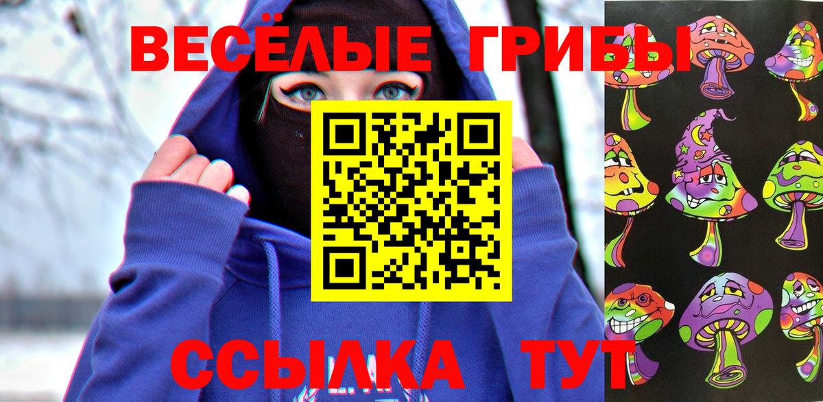 Псилоцибиновые грибы GOLDEN TEACHER Губаха
