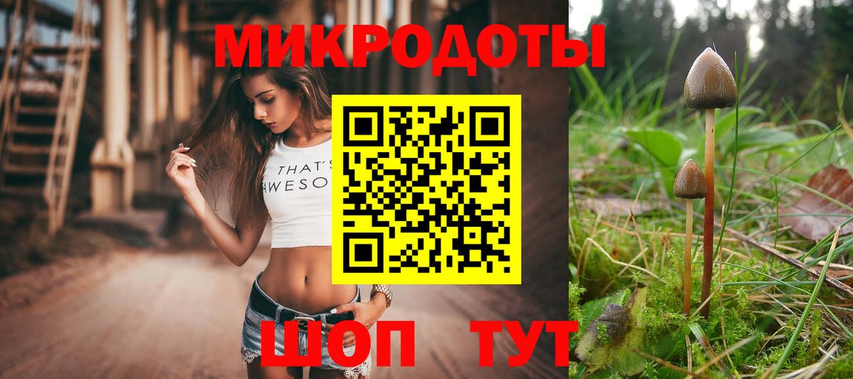 Губаха  Псилоцибиновые грибы ЛСД  Вход с VPN 